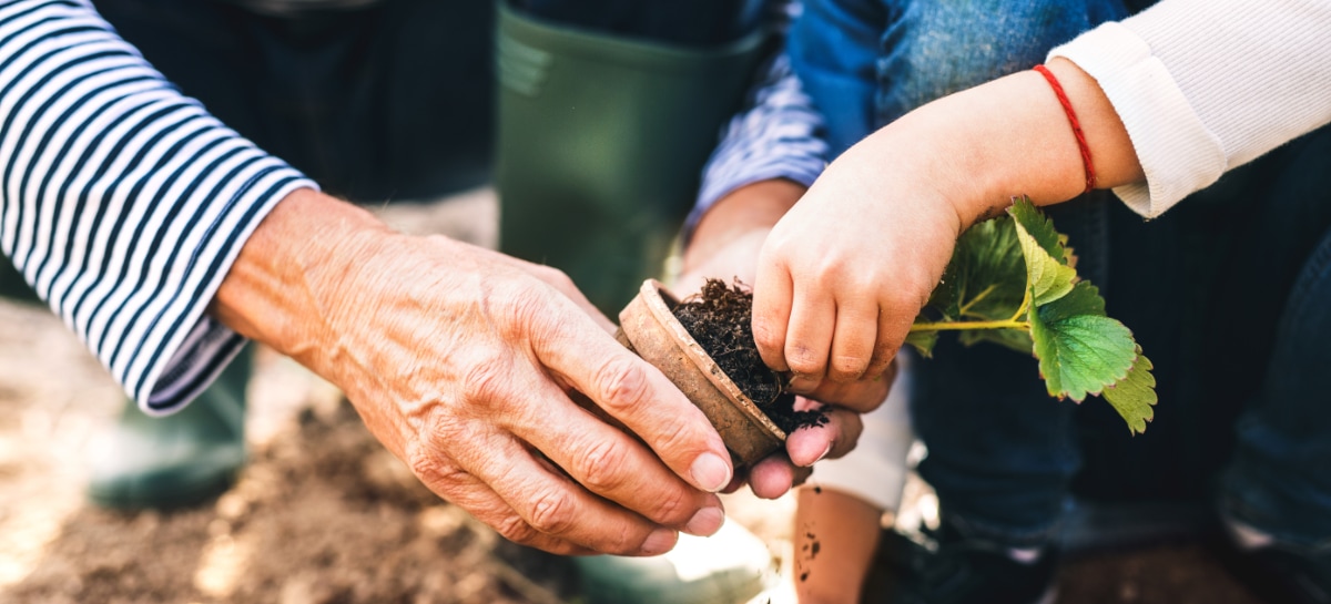 Therapeutic Horticulture Melbourne